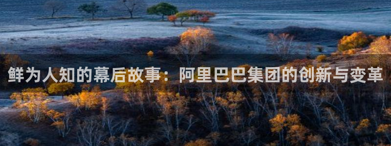 广州君临国际公寓地址